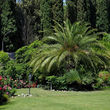 Madrina Lovely And Dynamic Hotel 4*
